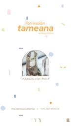 TAMEANA PRACTICAS INICIALES